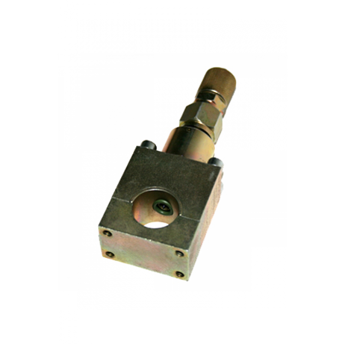 Pressurized Valve Mount 1/2"