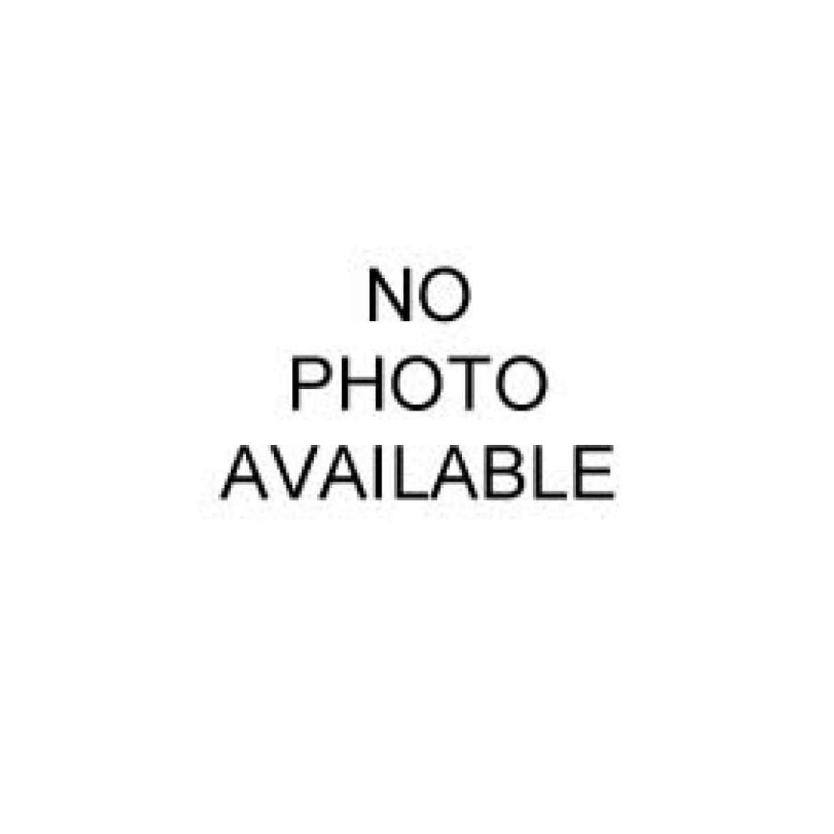 Filter Element (40µ synthetic) Filter Element (40µ synthetic)