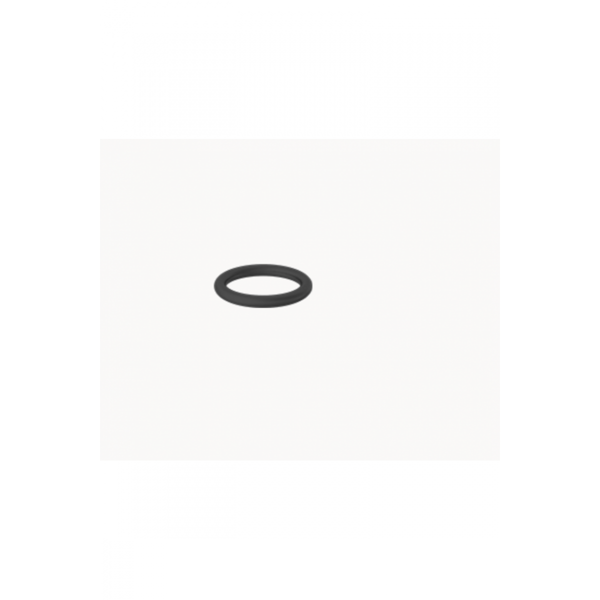 Viton "O" Rings for in-line filter -pack of 50